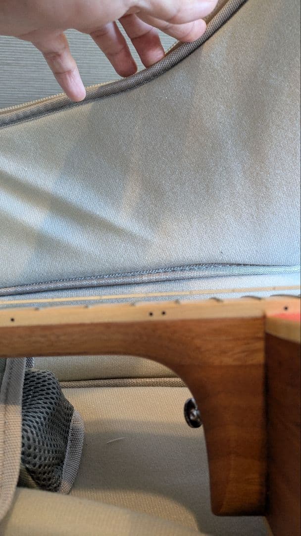 aNueNue MC10 アヌエヌエ