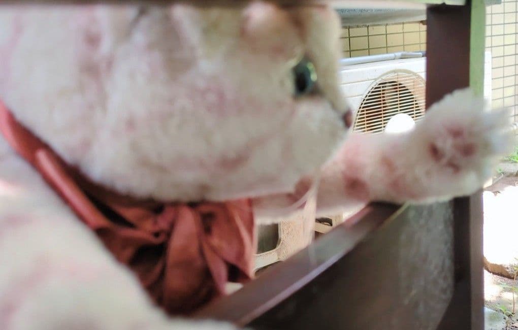 海外テディベア作家 Lily Bear Cat