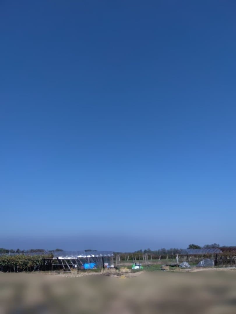 サントリー 山崎・白州 シングルモルトウイスキー 180ml