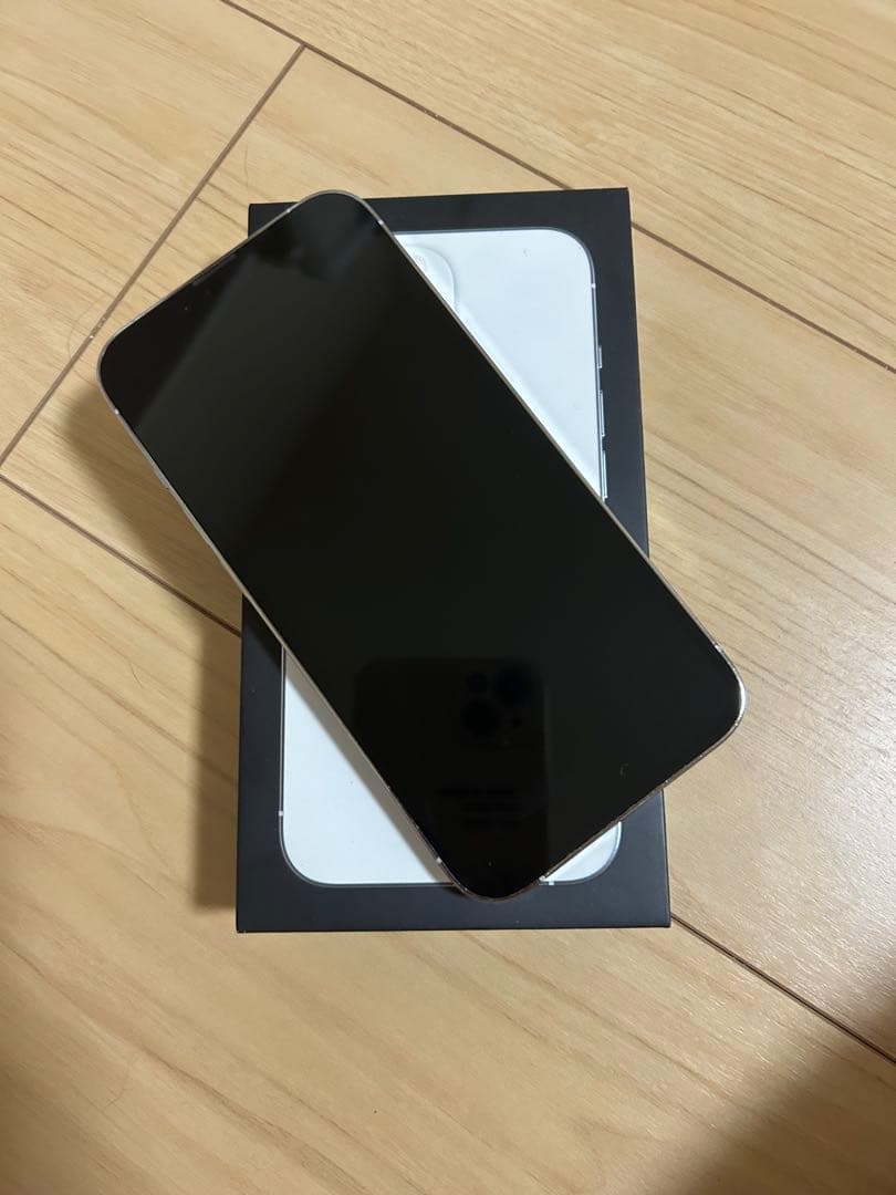 今日明日まで Apple iPhone 13 Pro シルバー 本体