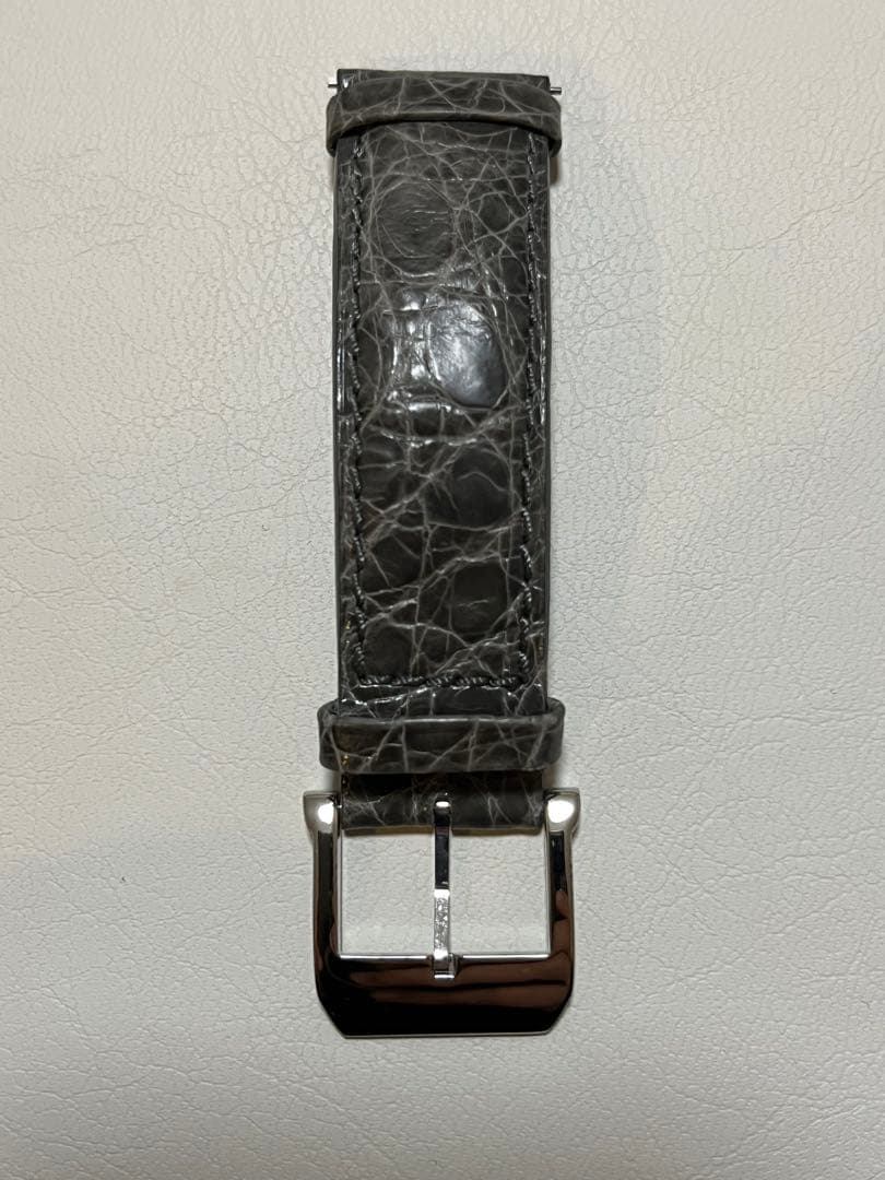 CamilleFournet カイマン シャイニー グレー 20/18