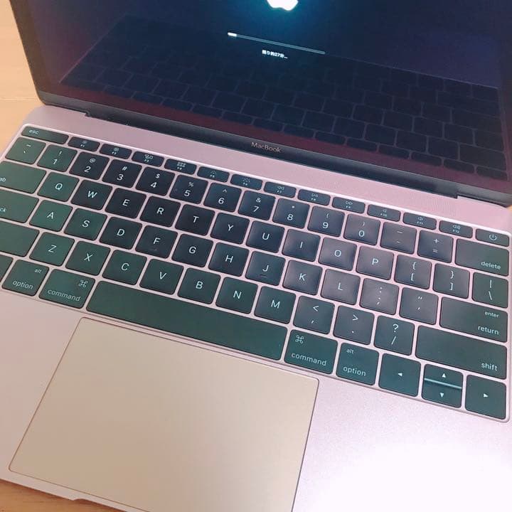 MacBook本体 MacBook (Retina, 12-inch, Early 2016)