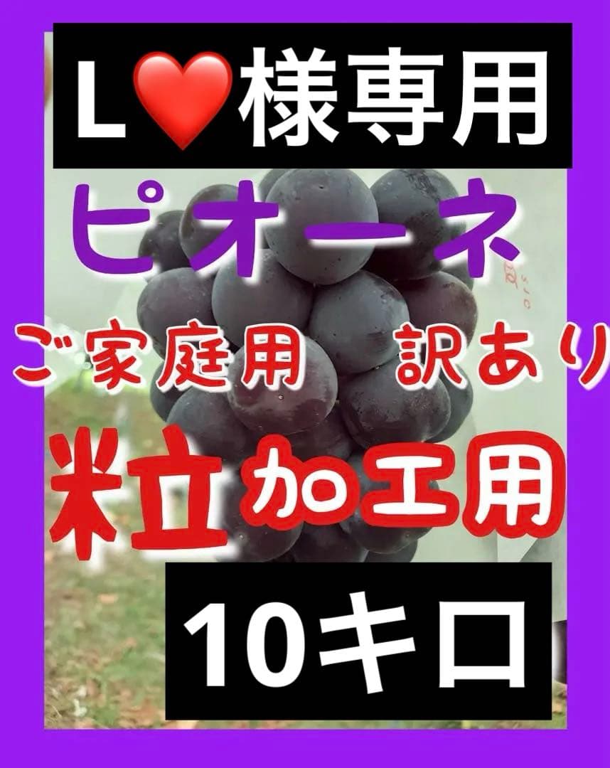 ★ L❤️ ★山形県産　加工用　訳あり　ピオーネ　粒　10キロ　種なしぶどう