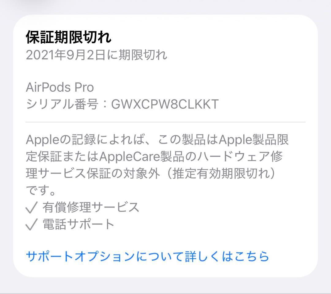 【Apple アップル】AirPods Pro 第1世代 充電ケース付き