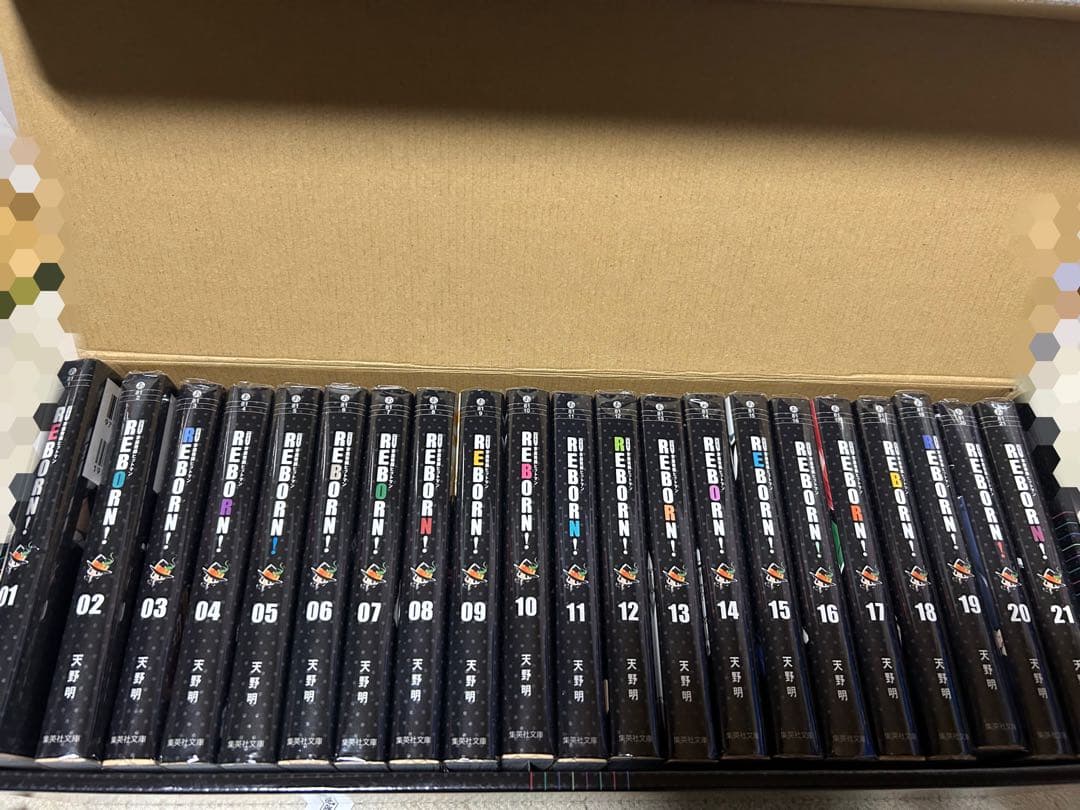 家庭教師ヒットマンREBORN リボーン 文庫本 ケース ポストカード 全巻
