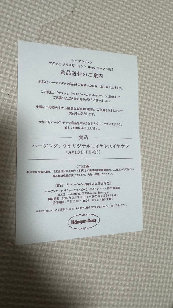 新品未開封 ハーゲンダッツ AVIOT TE-Q3 ワイヤレスイヤホン 2025