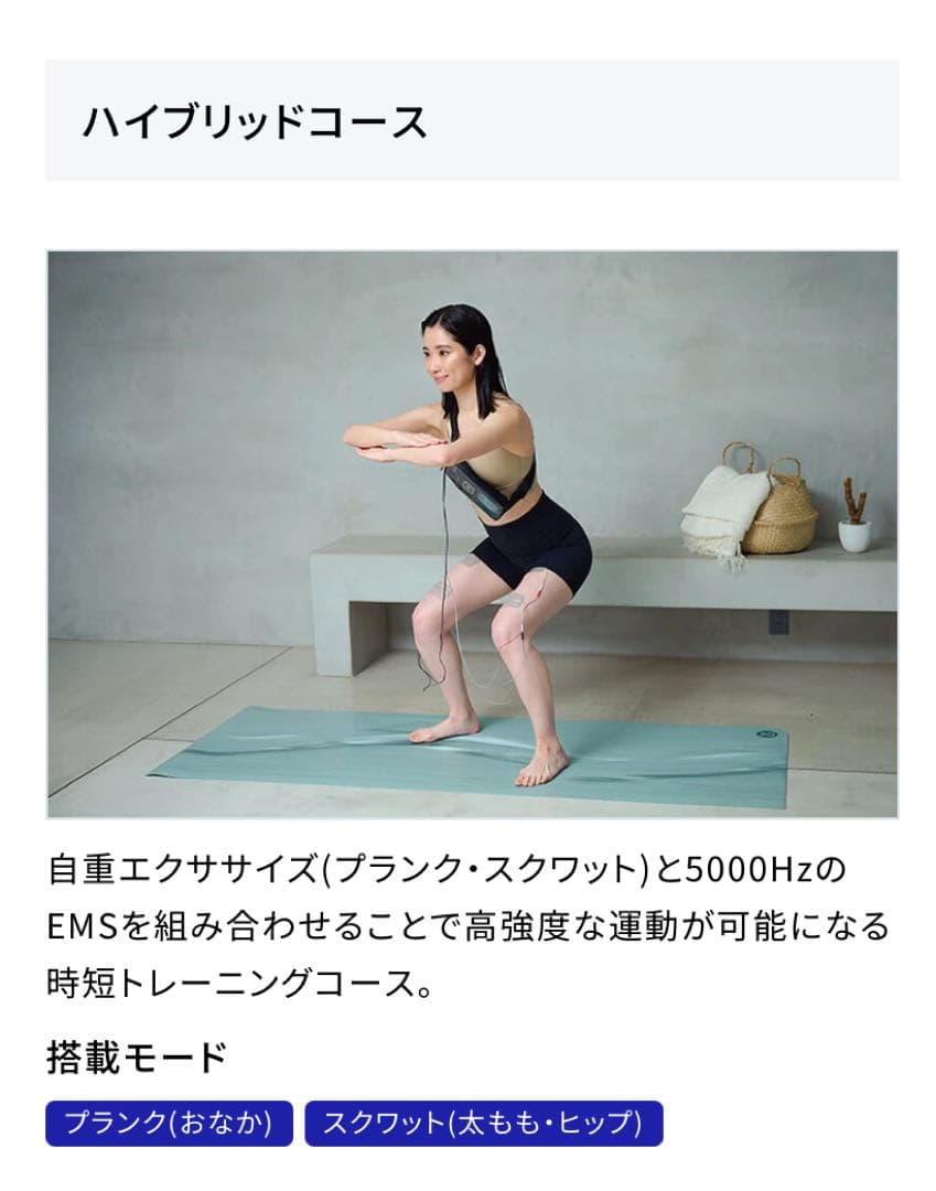 【はる】ツインビート∞（インフィニティ） 美容器