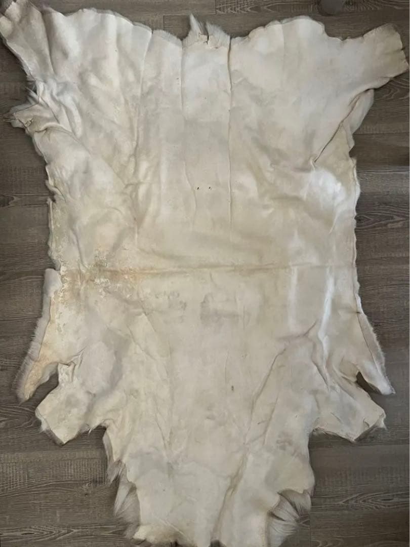 トナカイ　毛皮