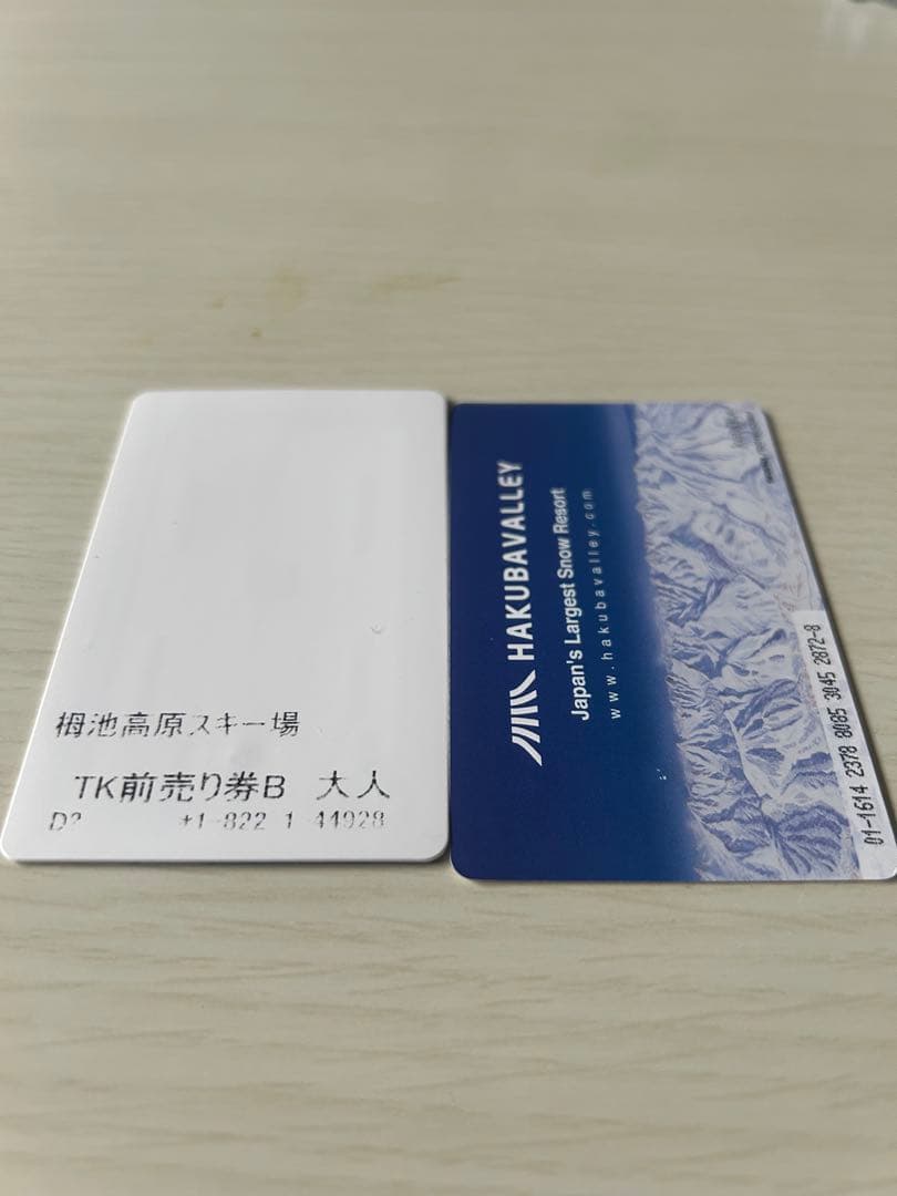 栂池高原スキー場　早割リフト券×2