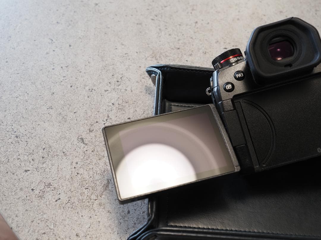 LUMIX DC-G9　シャッター回数115回　傷あり