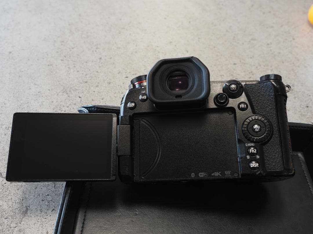 LUMIX DC-G9　シャッター回数115回　傷あり