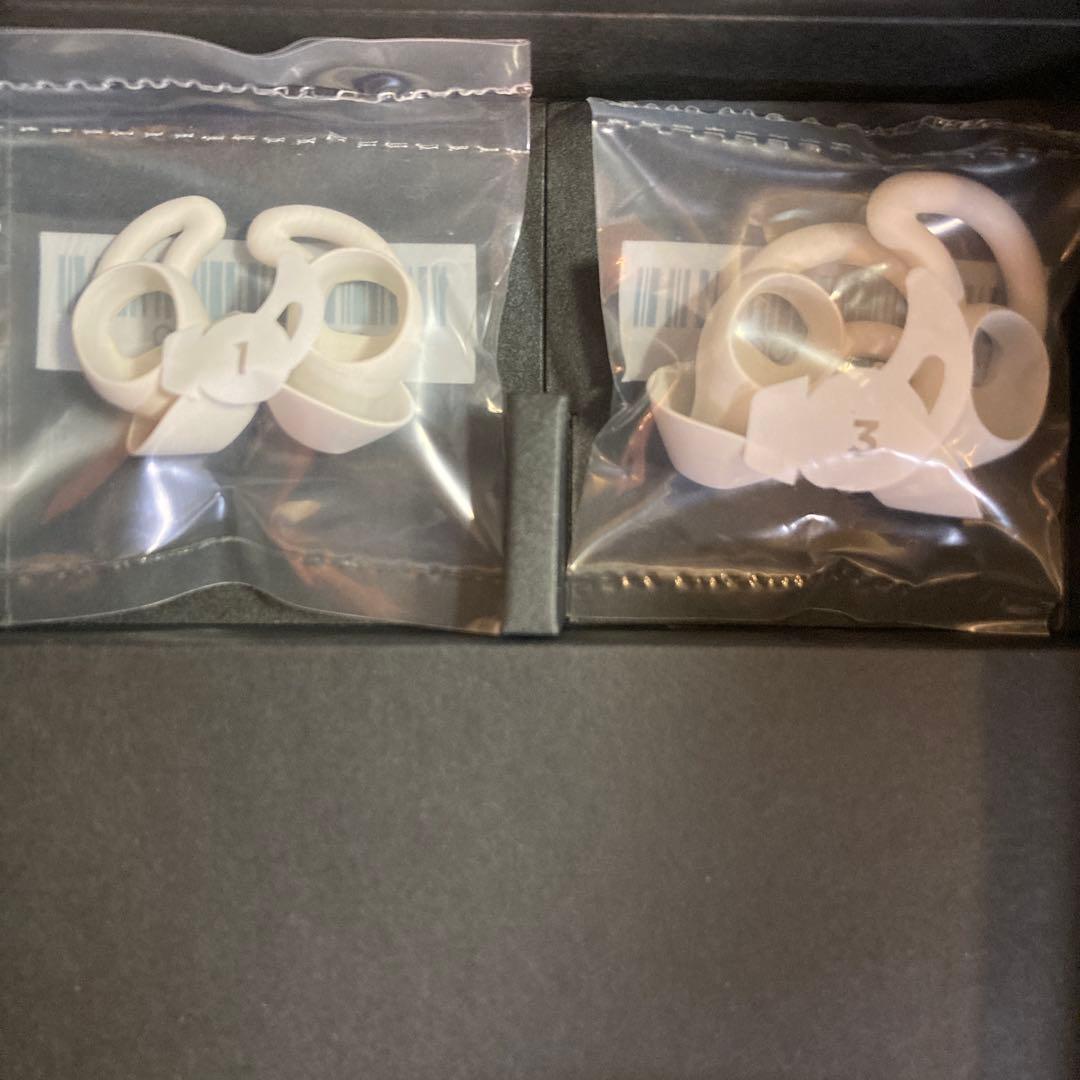 【1度試用のみ美品】bose sleepbuds II ボーズ　スリープパッズ2