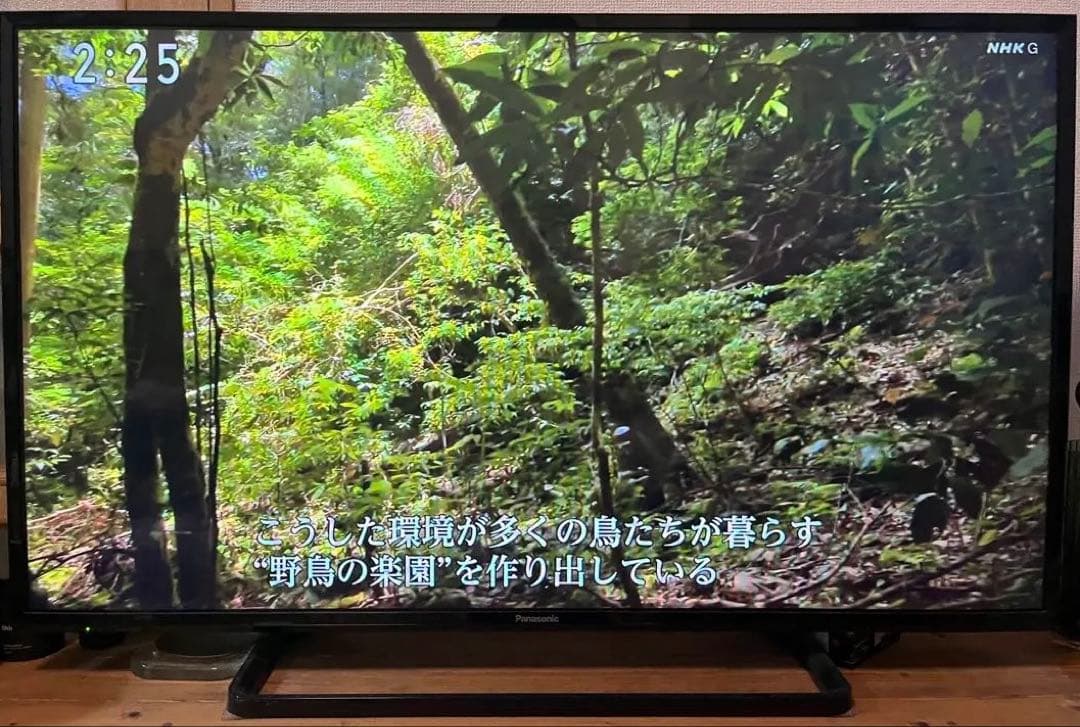 Panasonic TH-43E300 43インチテレビ