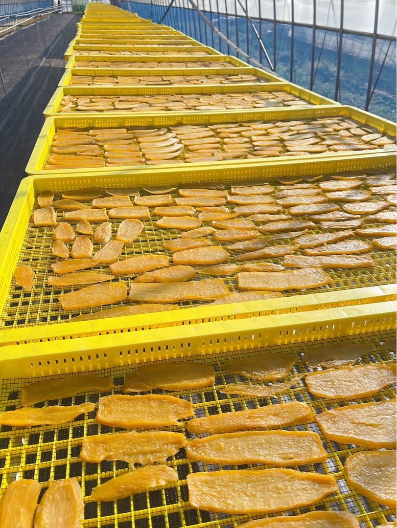 干し芋　箱込み2キロx2個セット(平+丸)