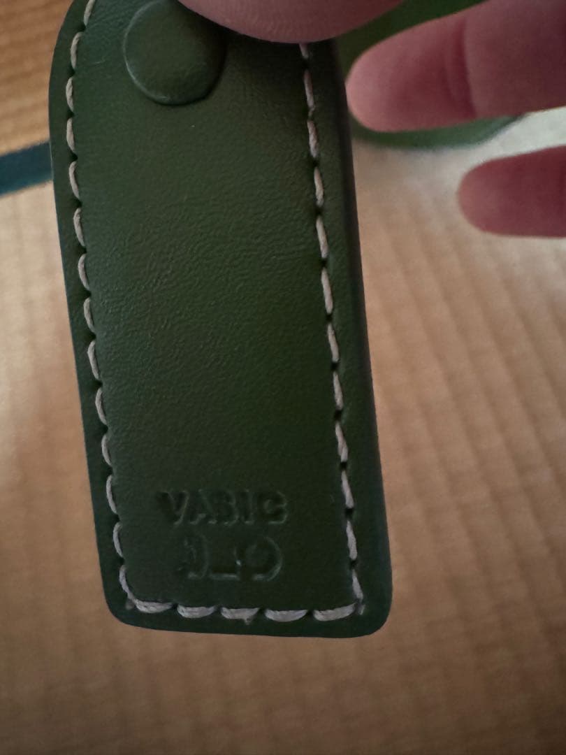 ヤンチェオンテンバール／VASIC グリーンバッグ