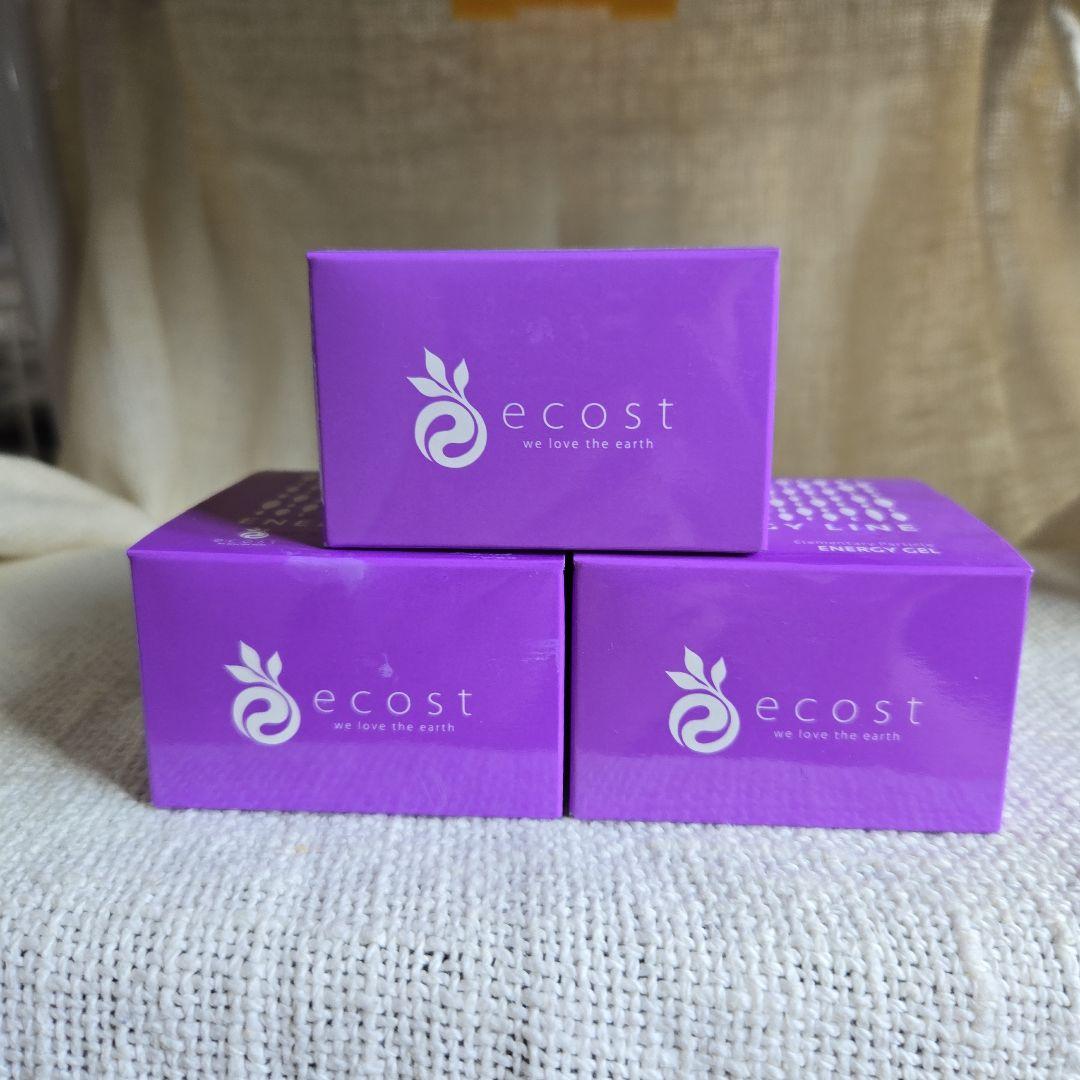 こいけ様　エコスト　エナジージェル3個