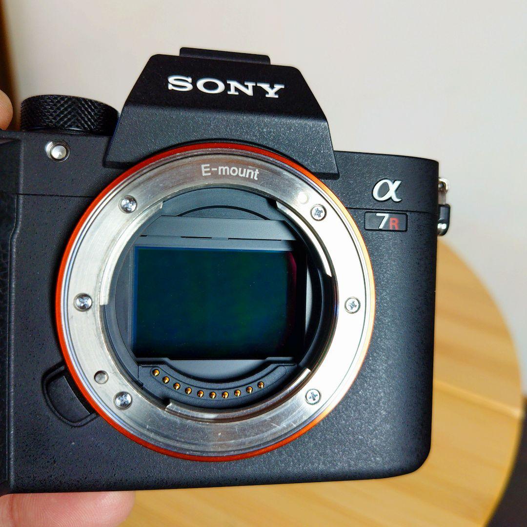 SONY α7RⅢ (ILCE-7RM3)＋ 諸々