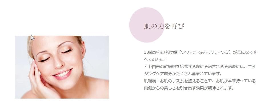 FairLady Rich Gel フェアレディ リッチジェル