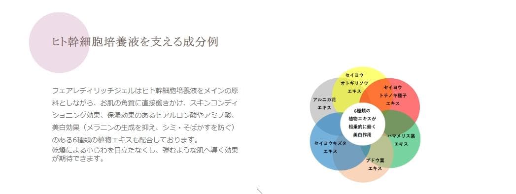 FairLady Rich Gel フェアレディ リッチジェル