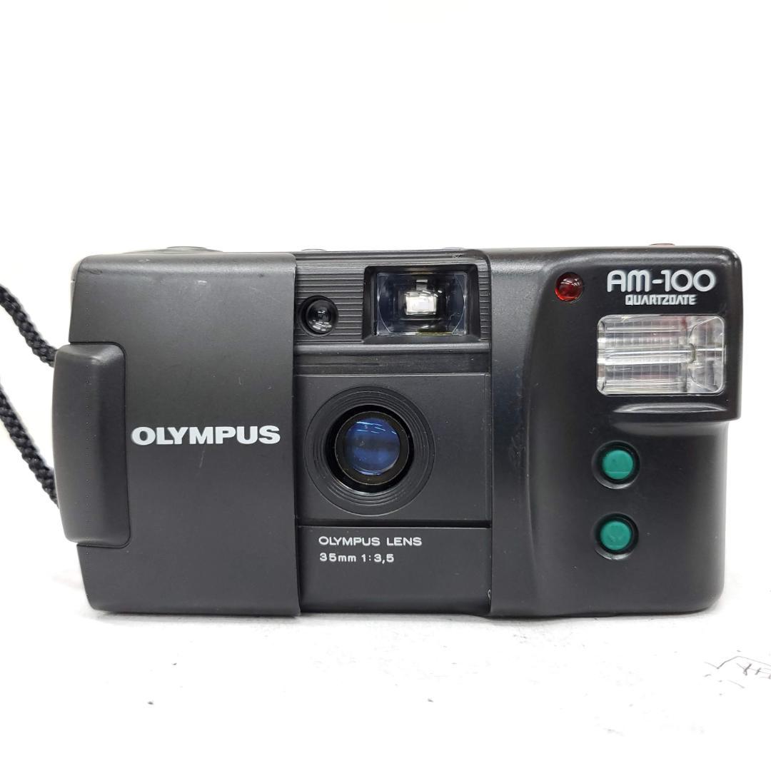【動作確認済】 Olympus AM-100 F0116-333-11v p