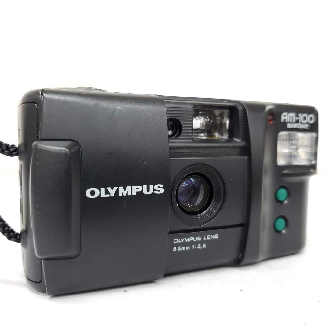 【動作確認済】 Olympus AM-100 F0116-333-11v p