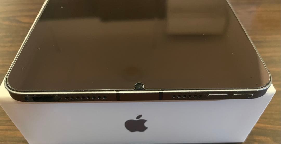 iPad mini 6 セルラーモデル 256GB+ Apple Pencil付