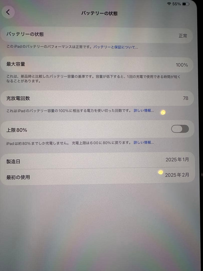 iPad Pro 13インチ　wifiモデル　シルバー 充電器付き　m4