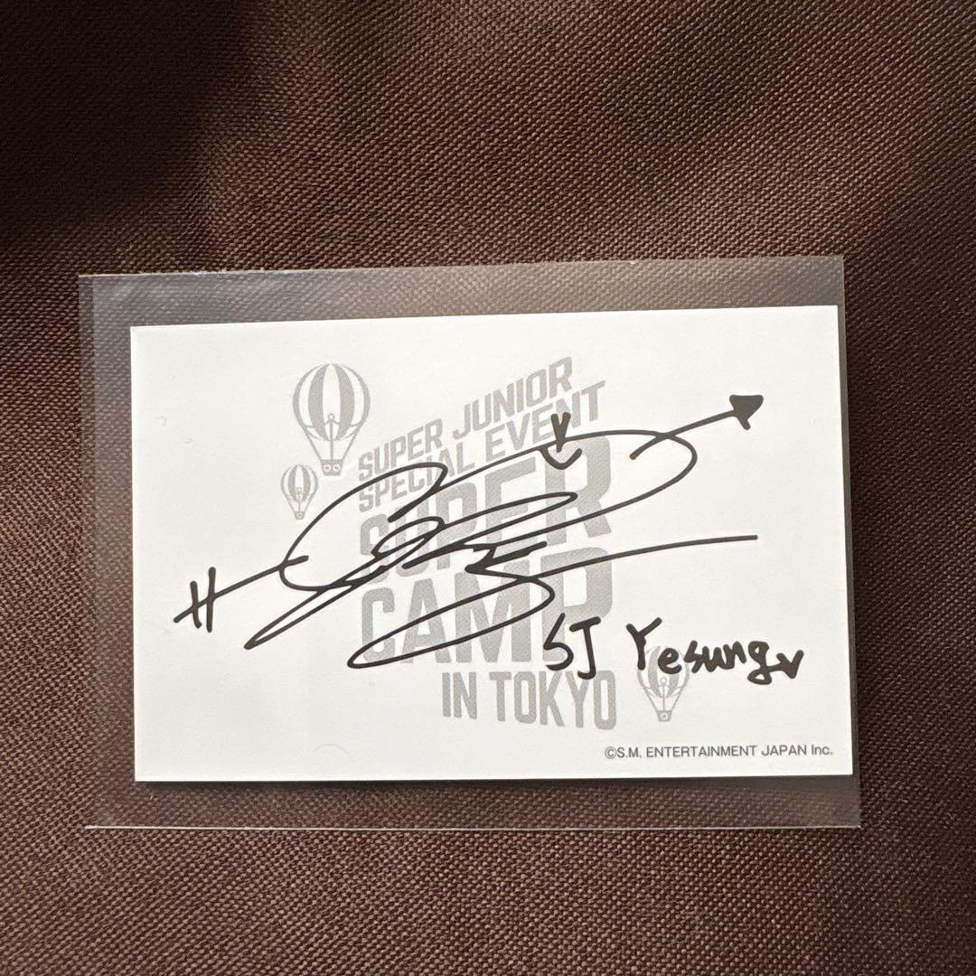 【レア】SUPER JUNIOR イェソン　SUPER CAMP 大福トレカ