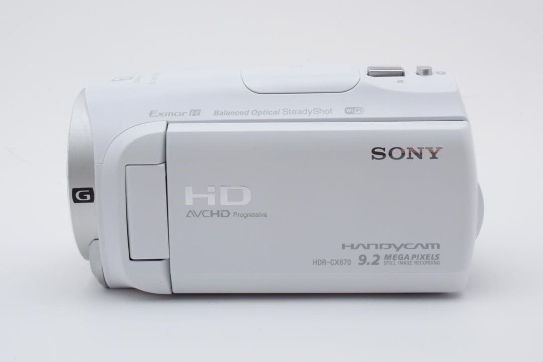 Sony ソニー HDR-CX670 ビデオカメラ ハンディカム