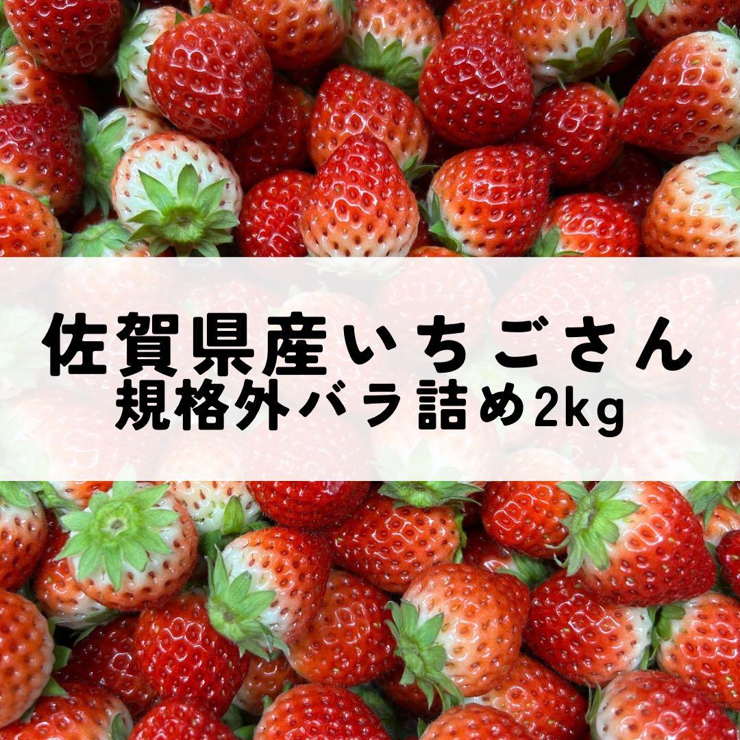 佐賀県産　大容量小粒いちご2kg