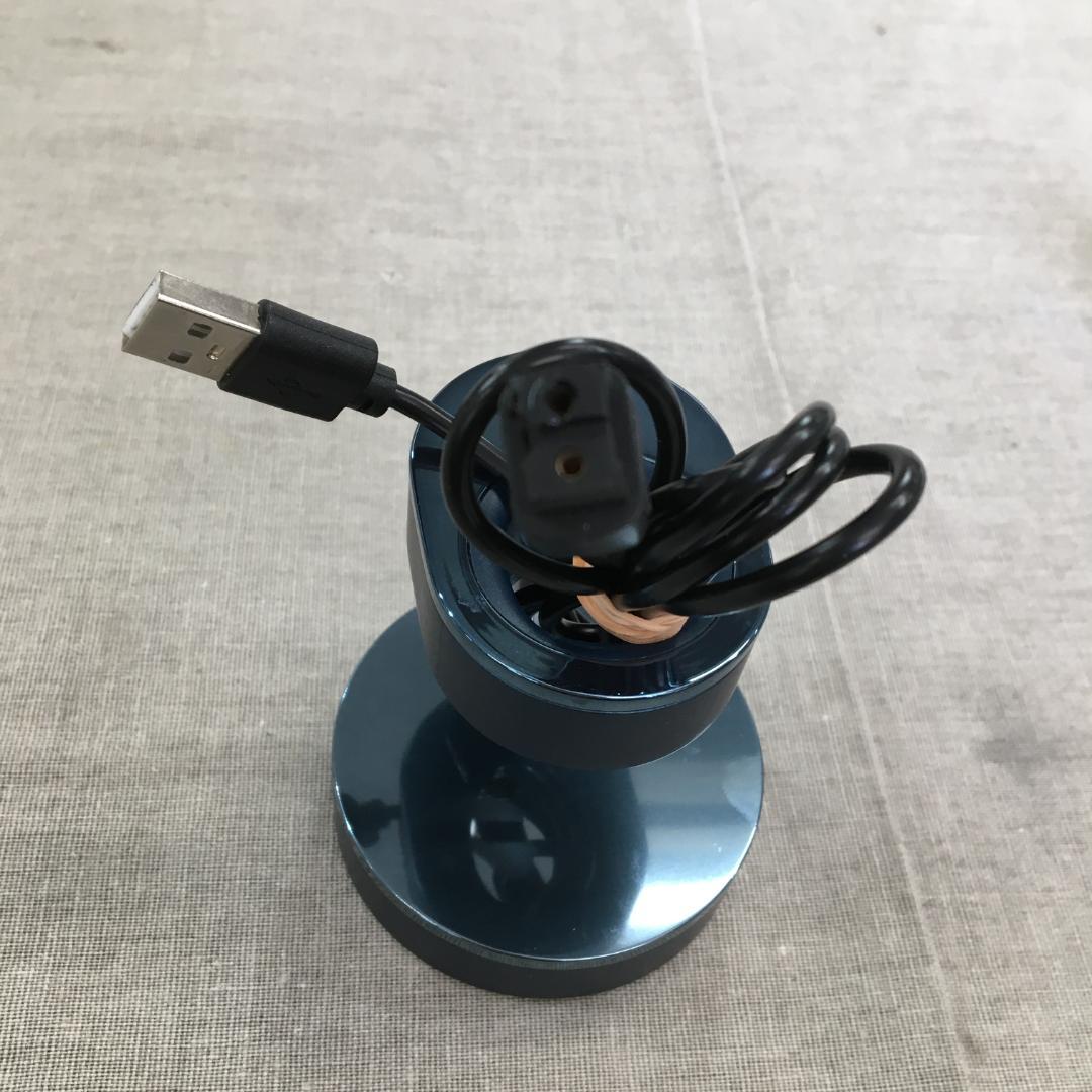 パナソニック Panasonic 音波振動ハブラシ ドルツ 青