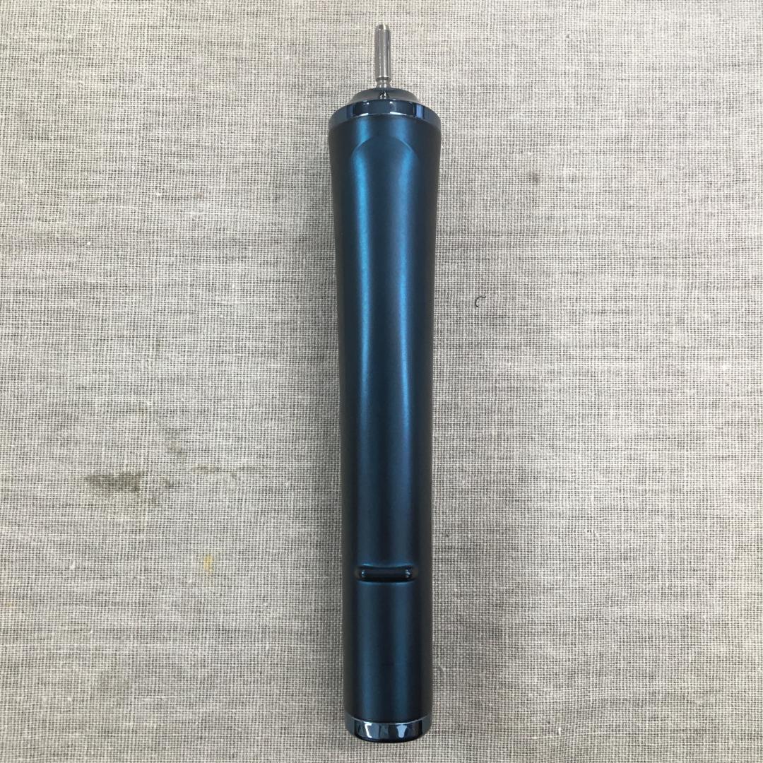 パナソニック Panasonic 音波振動ハブラシ ドルツ 青