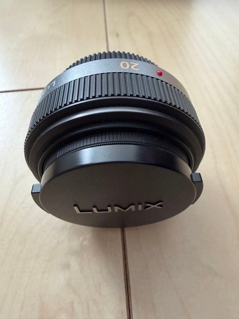 Panasonic GF1 ミラーレスカメラ 14-140mmレンズ
