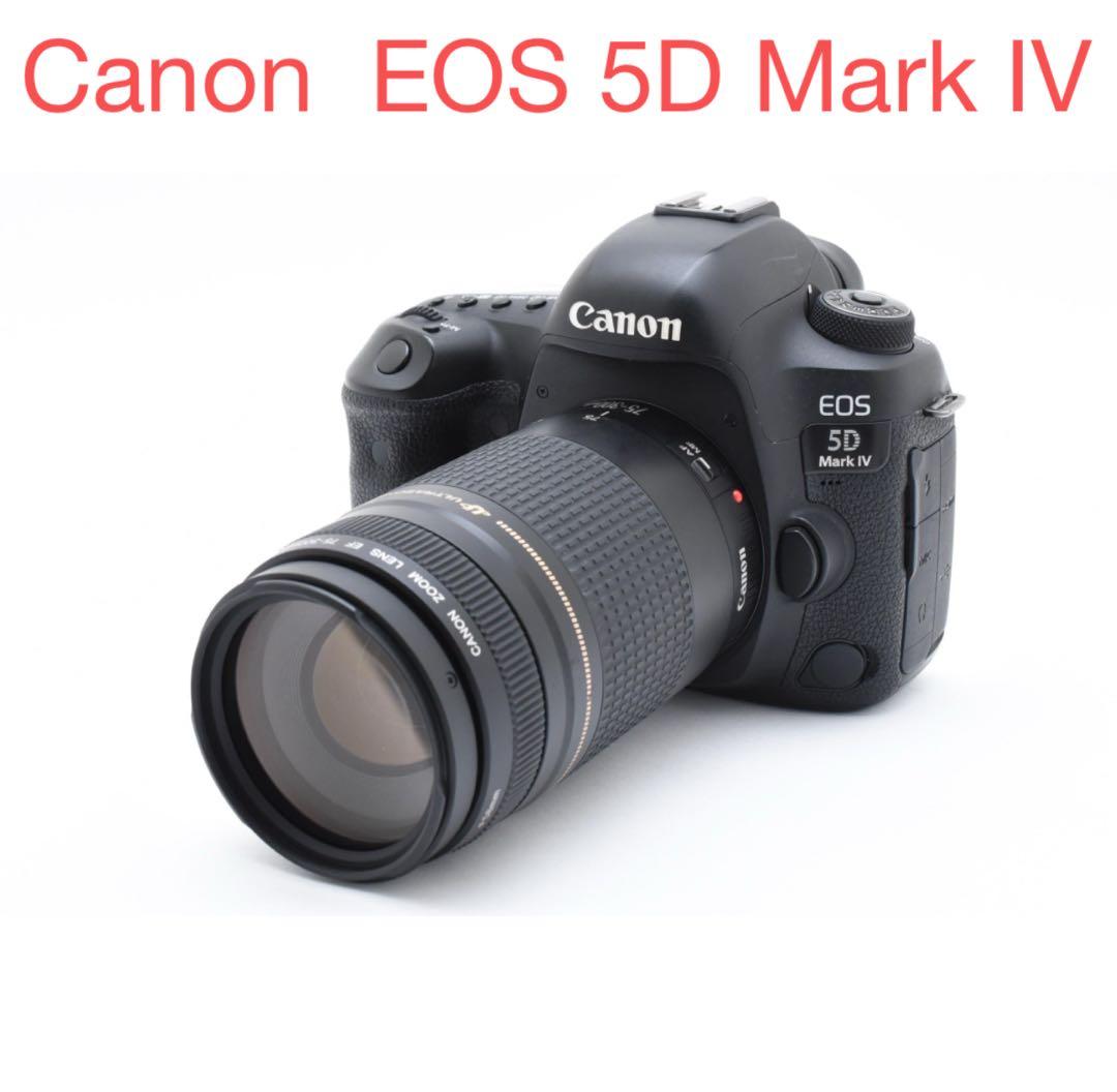 一眼レフ カメらCanon EOS 5D Mark IV望遠レンズセット