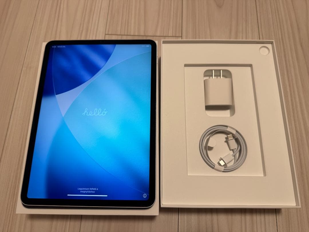 Apple iPad Pro 11インチ 第1世代 Wi-Fiモデル 256GB