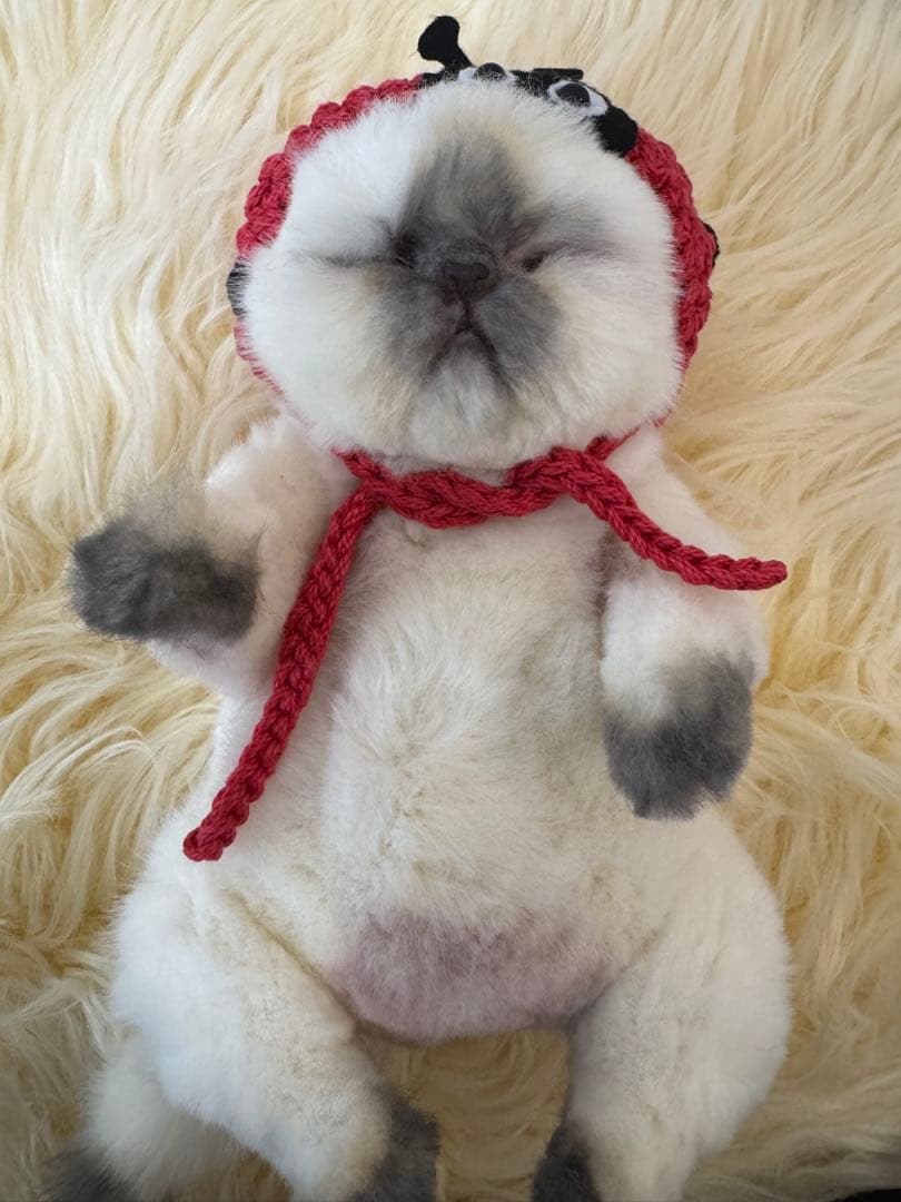 海外作家様作　アートドール　猫の赤ちゃん2体セット