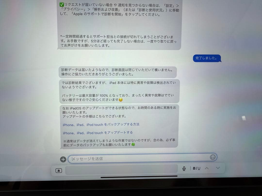 iPad本体 Apple iPad Pro 12.9 256GB