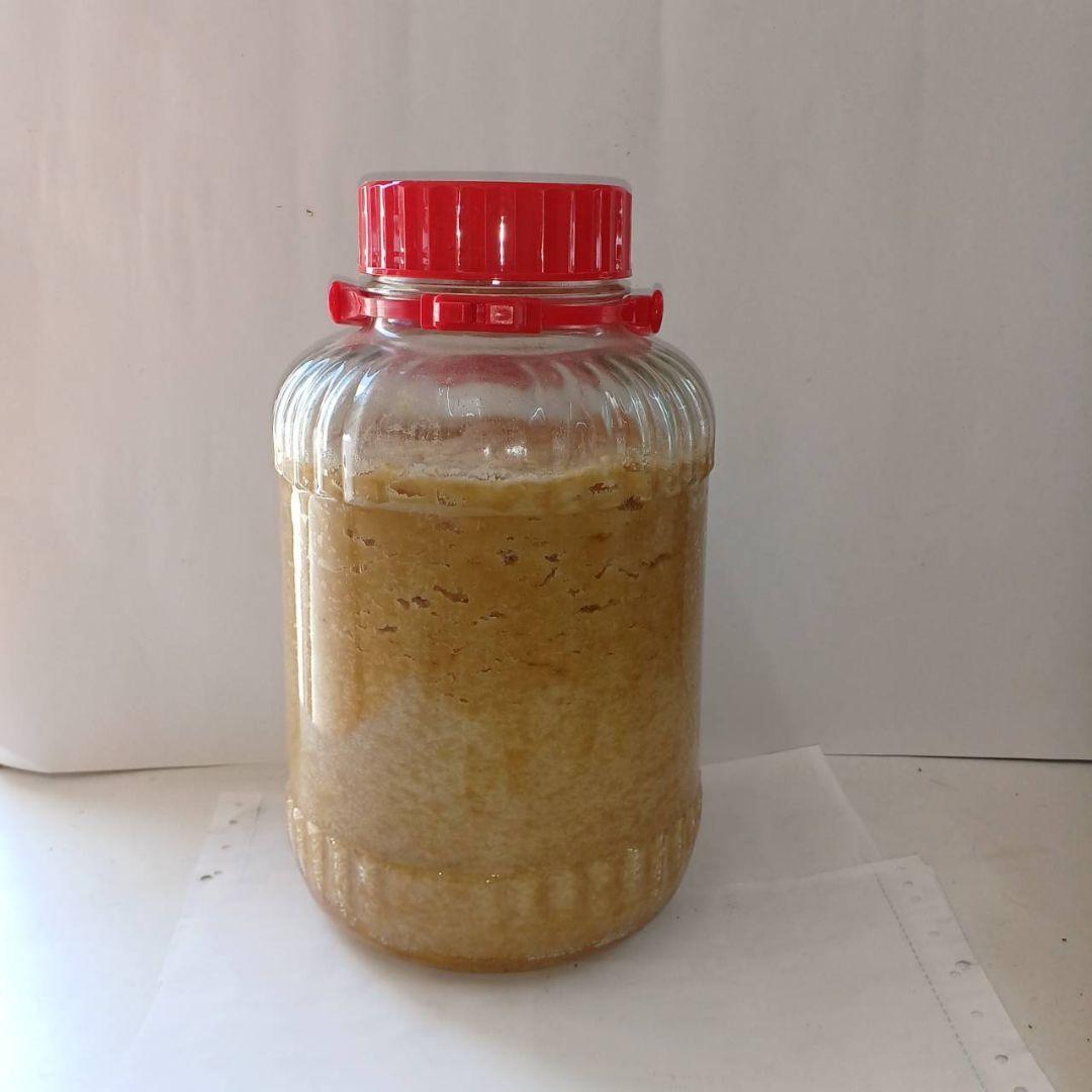 日本蜜蜂の天然ハチミツ　無添加　非加熱 内容量 8kg　国産純粋天然蜂蜜