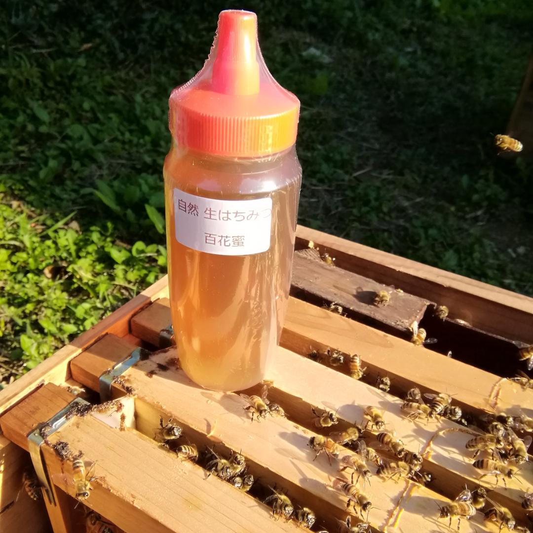 ✨アカシア蜂蜜５本&百花蜜５本　生はちみつ　非加熱ハチミツ