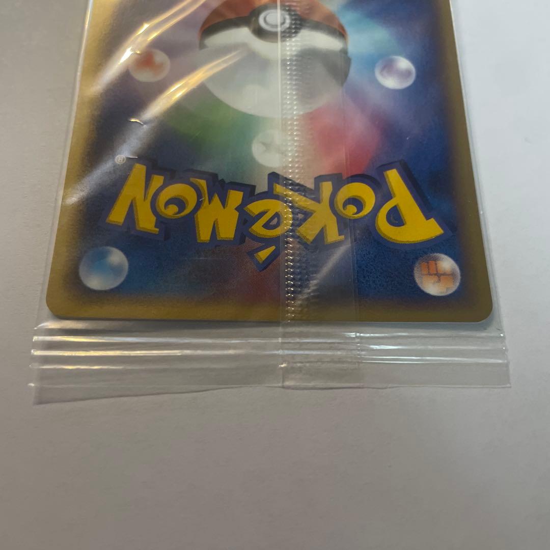 は*な様 ポケパークのスイクン　未開封