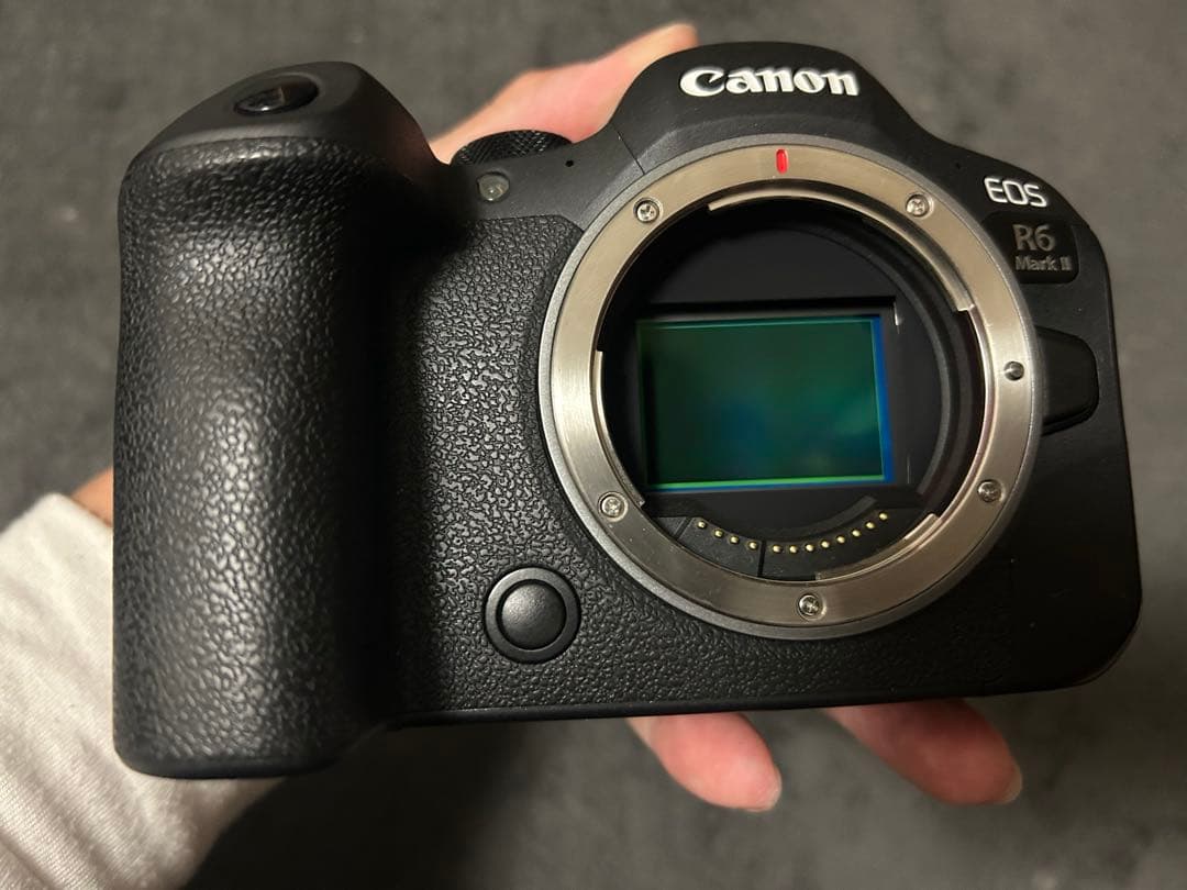 Canon EOS R6 Mark II ef〜rfマウントアダプター