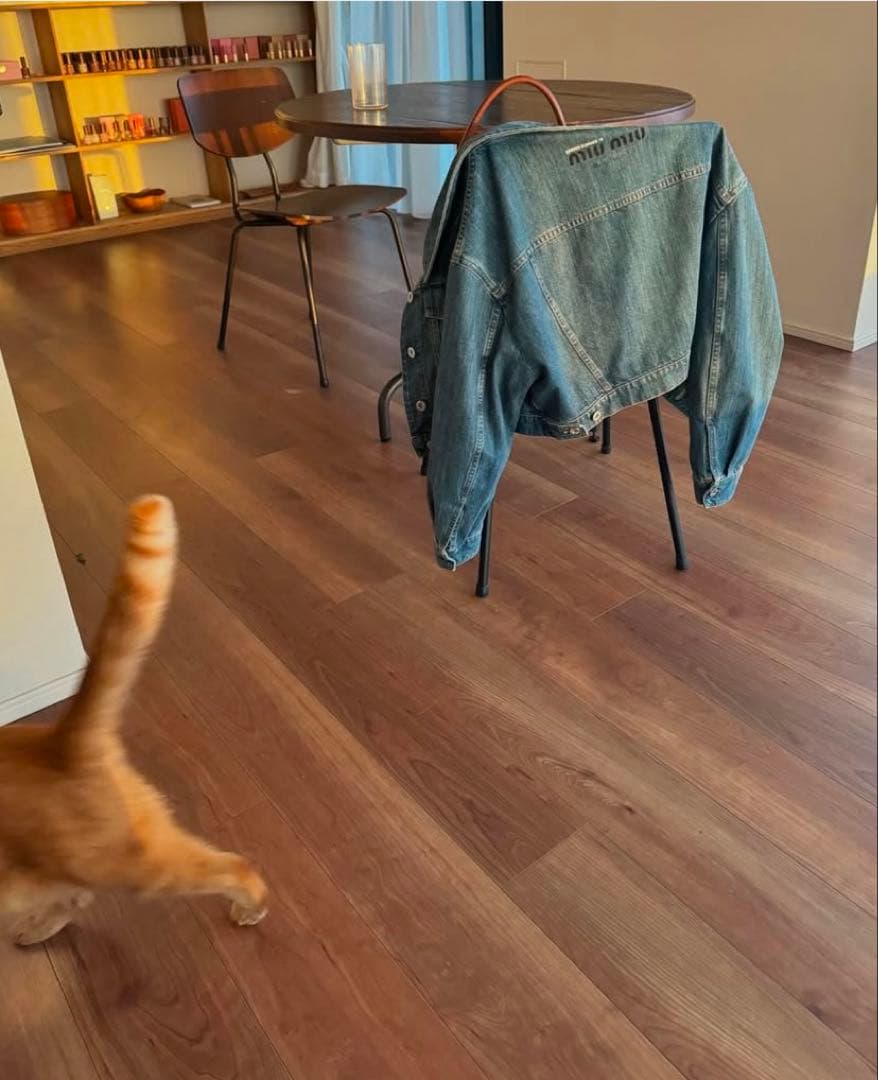 【新品未使用】　定価144,720円 miumiu 国内正規品 デニムジャケット