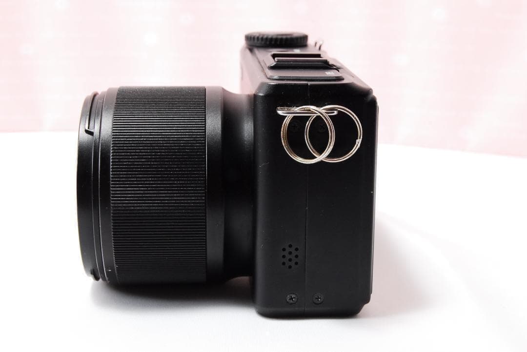 〓訳あり品〓シグマ SIGMA DP3 Merrill コンパクトデジタルカメラ