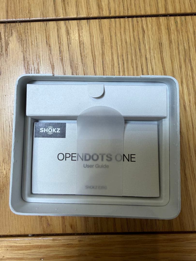 Shokz OpenDots ONE グレー 骨伝導イヤホン