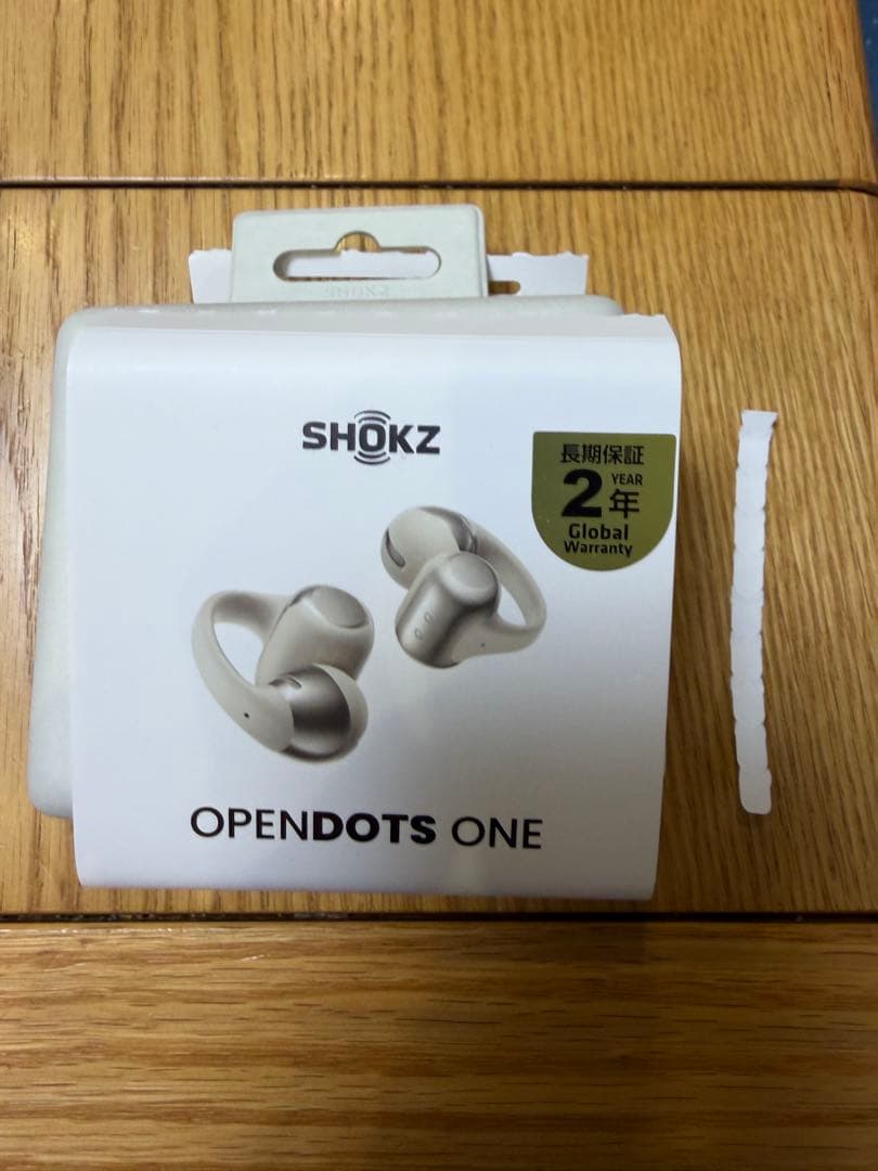 Shokz OpenDots ONE グレー 骨伝導イヤホン