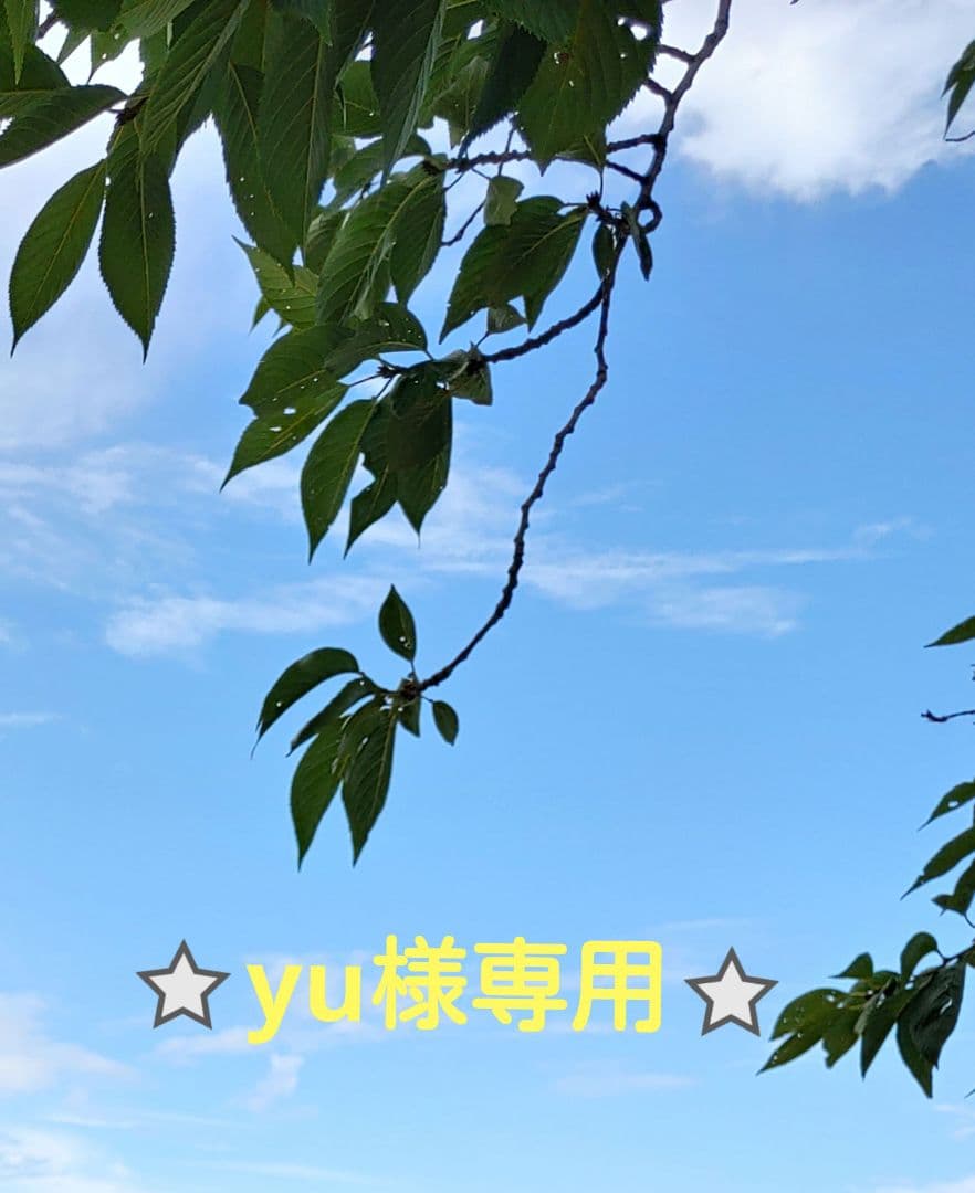 yu商品になります⭐