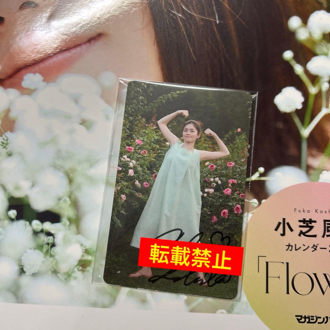 小芝風花 2026年 カレンダー サイン入りフォトカード付き 特典 ステッカー