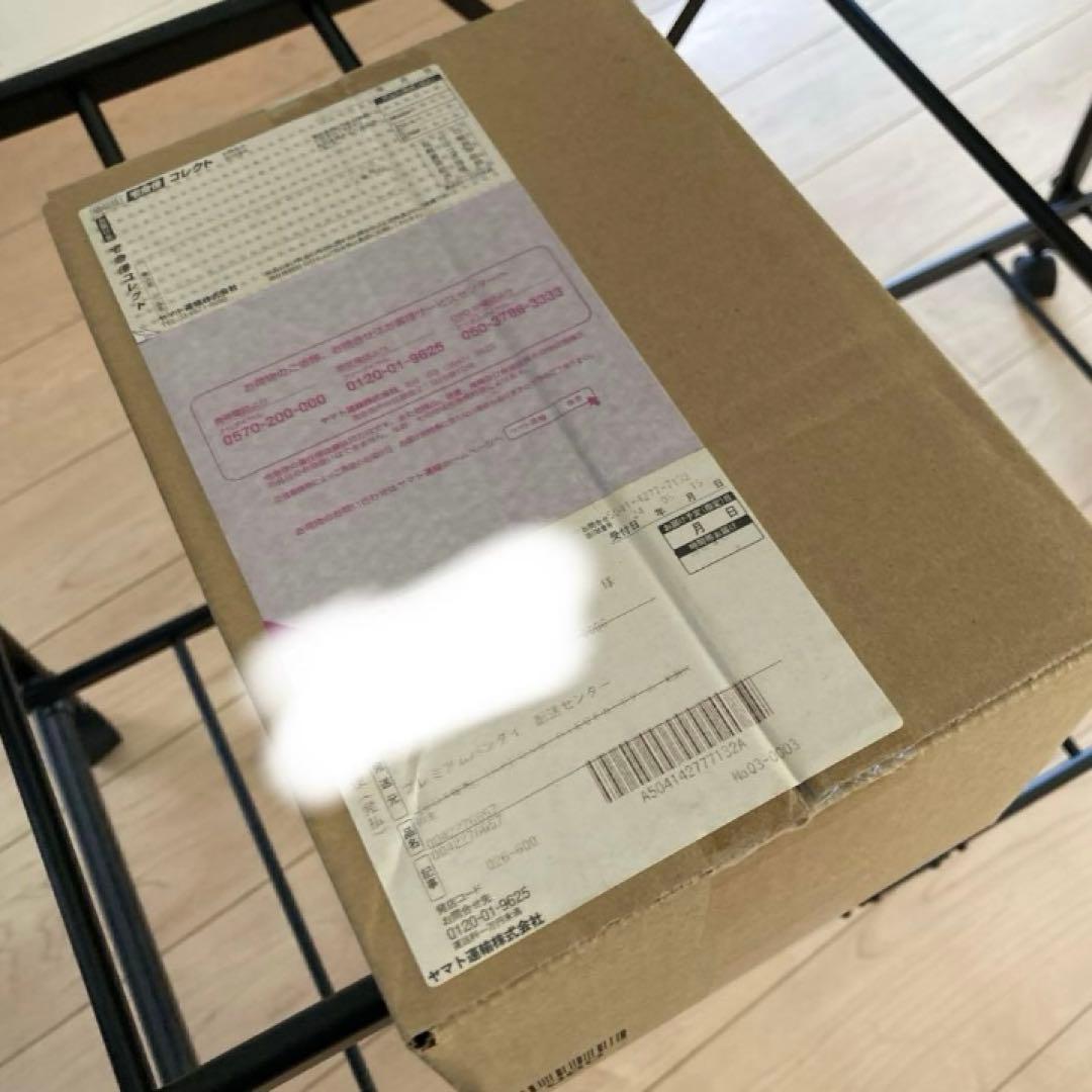 新時代の主役 プレミアムバンダイ当選品