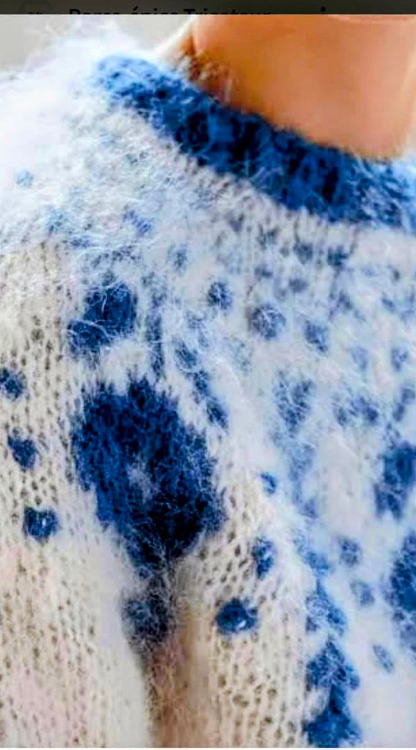 パリジェンヌの編みもの　 食器模様のロピ風セーター 毛糸／書籍セット