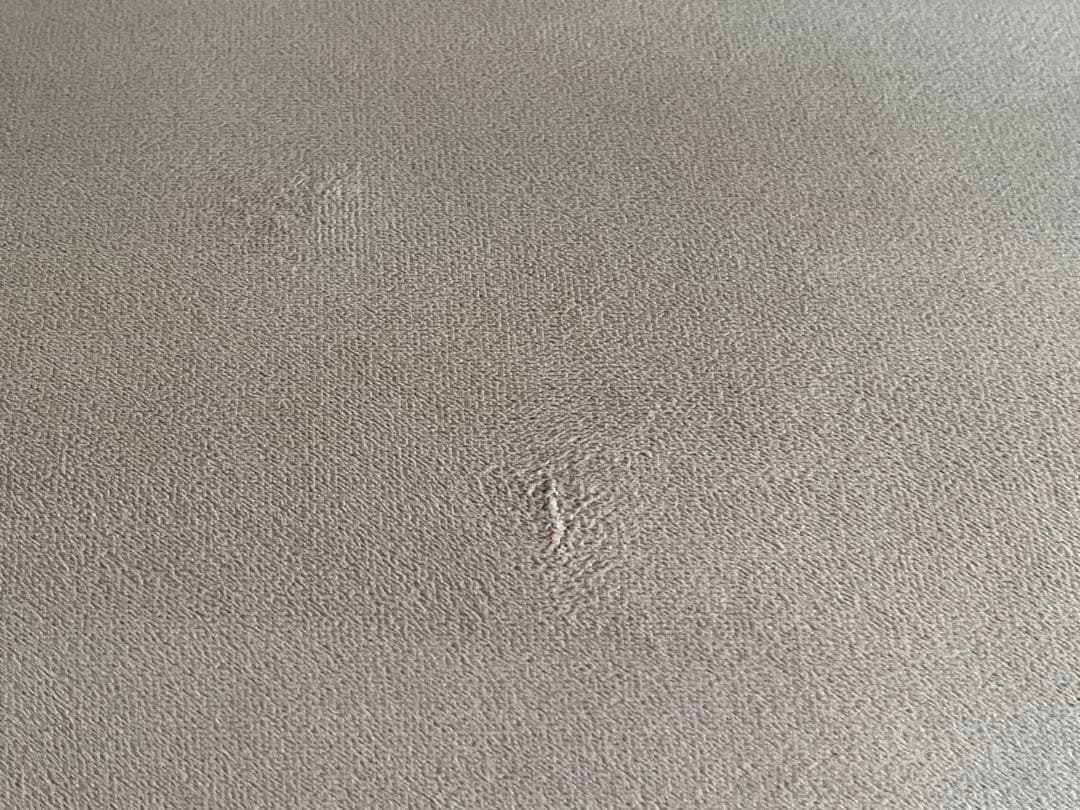 カウチソファ ベルベット調 LOWYA